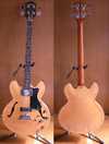 Epiphone RIVOLI.jpg